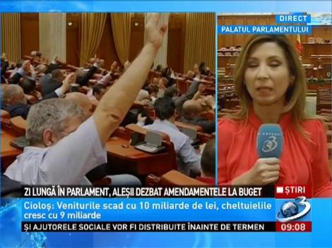 Zi lungă în Parlament, aleşii dezbat amendamentele la buget