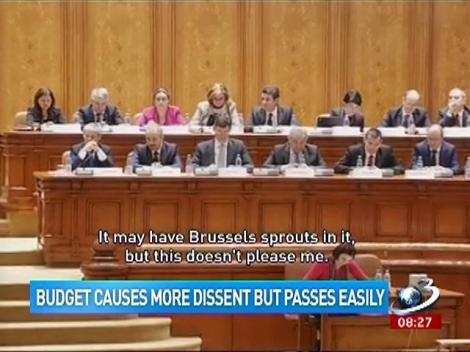 Budget causes more dissent but passes easily