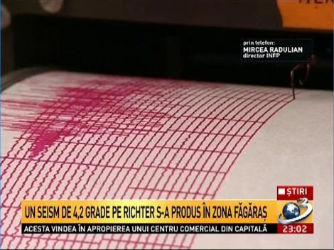 Cutremur de 4,2 &icirc;n zona seismică Făgăraş-C&acirc;mpulung