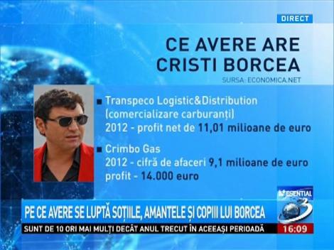 Pe ce avere se luptă soţiile, amantele şi copiii lui Borcea