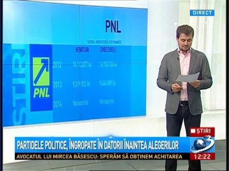 Partidele politice, &icirc;ngropate &icirc;n datorii &icirc;naintea alegerilor