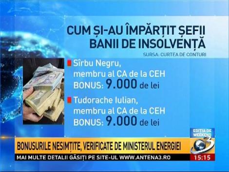 Surse: Corpul de control al Ministerului Energiei, trimis la Hunedoara