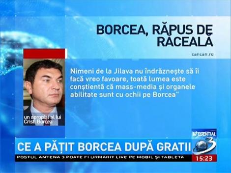 Ce a păţit Borcea după gratii