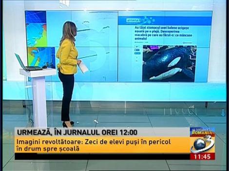 Top 3 Antena3.ro - 21 ianuarie 2016