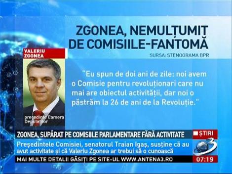 Zgonea, supărat pe comisiile parlamentare fără activitate