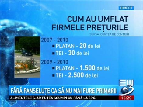 Fără panseluţe în Bucureşti, ca să nu mai fure primarii