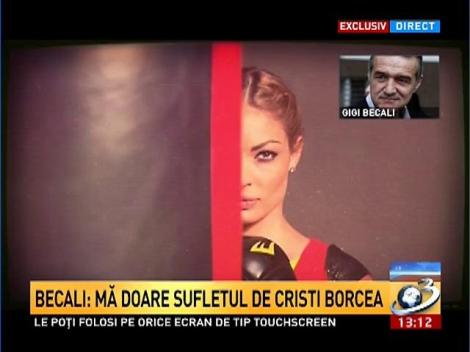 Becali, despre raportul referitor la celula lui Borcea