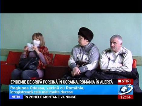 Epidemie de gripă porcină &icirc;n Ucraina, Rom&acirc;nia &icirc;n alertă