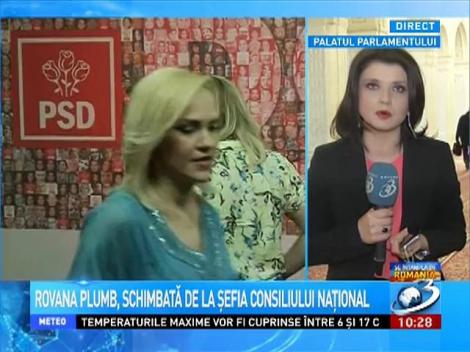 Rovana Plumb, schimbată de la şefia Consiliului Naţional