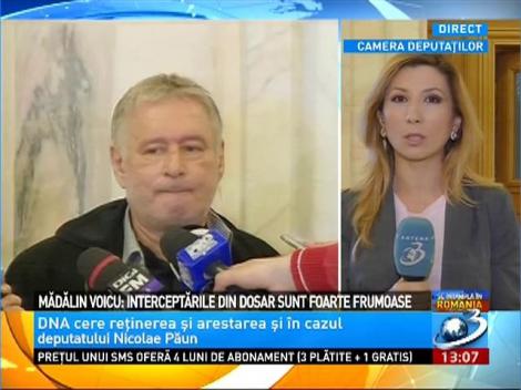 Mădălin Voicu şi-a studiat dosarul