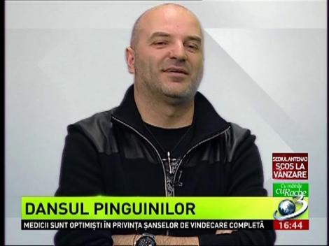 Cu m&acirc;inile cuRache: Dansul pinguinilor