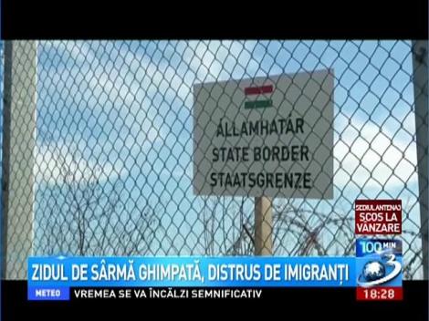 Zidul de s&acirc;rmă ghimpată, distrus de imigranţi