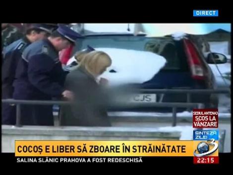 Cum a protejat-o Băsescu pe Udrea