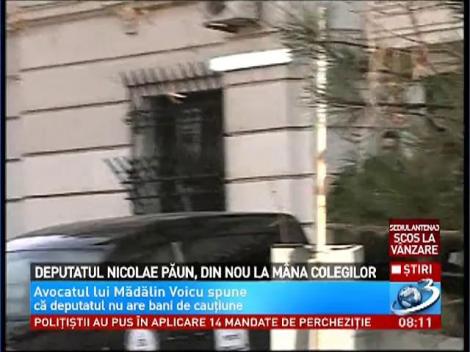 Deputații reiau votul în cazul lui Păun