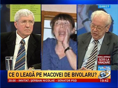 Ce o leagă pe Macovei de Bivolaru?