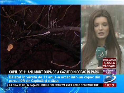 Copil de 11 ani, mort după ce a căzut din copac &icirc;n parc