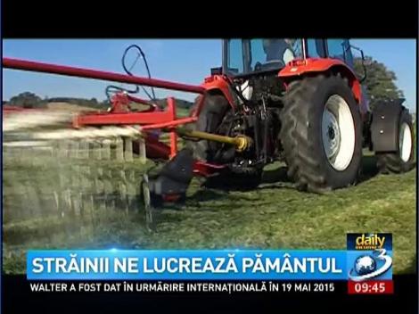 Daily Income: Străinii ne lucrează pământul