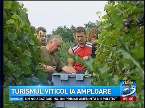 Daily Income: Turismul viticol ia amploare