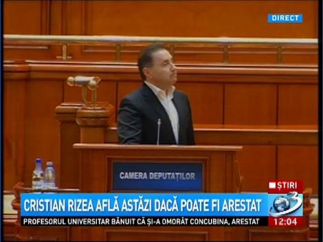 Discuţii pe procedură între Rizea şi Zgonea