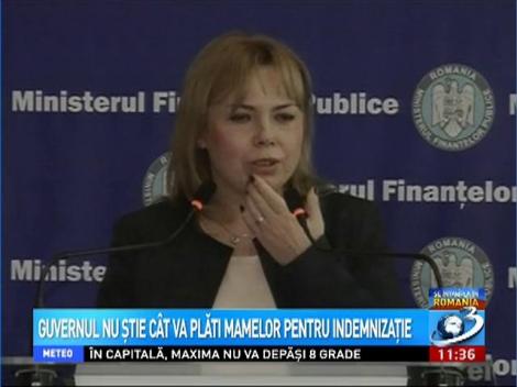 Guvernul nu ştie cât va plăti mamelor pentru indemnizaţie