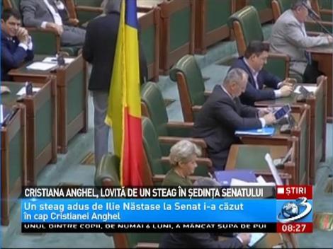 Reacţia Cristianei Anghel, după ce a fost lovită &icirc;n cap de un steag