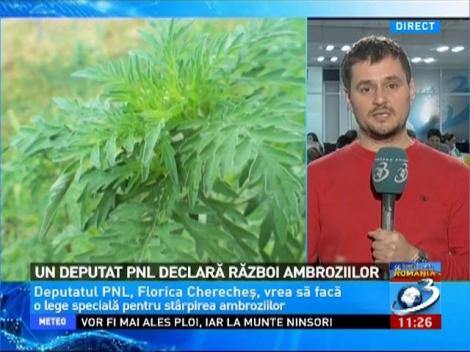 Un deputat PNL declară război ambroziilor