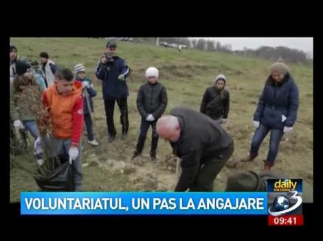 Voluntariatul, la un pas de angajare. Care sunt tipurile de certificate pe care le poți obține