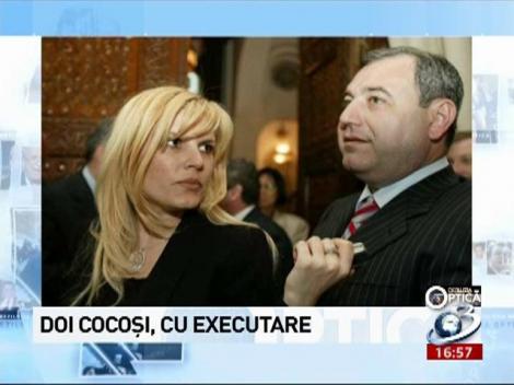 Doi Cocoşi cu executare