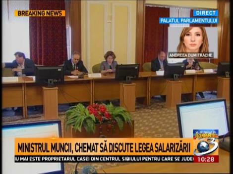 Noul Ministru al Muncii, chemat în Parlament