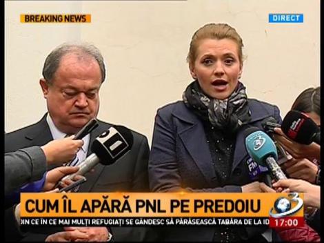 Cum &icirc;l apără PNL pe Predoiu