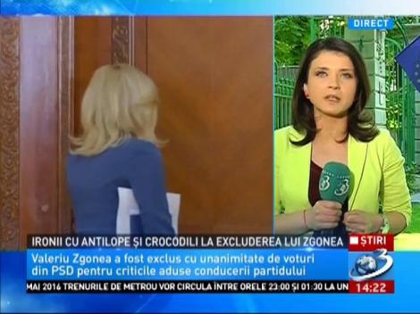 PSD caută &icirc;nlocuitor pentru Valeriu Zgonea. Cine ar putea să &icirc;i ia locul