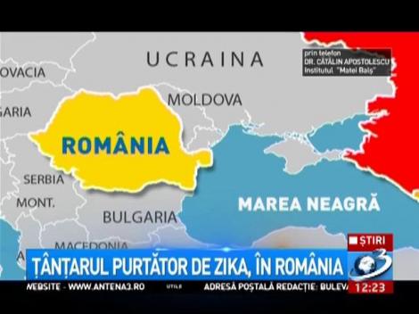 Amenințare pentru turiștii de pe litoral! Virusul Zika a ajuns la Marea Neagră