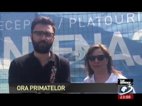 Ora primatelor