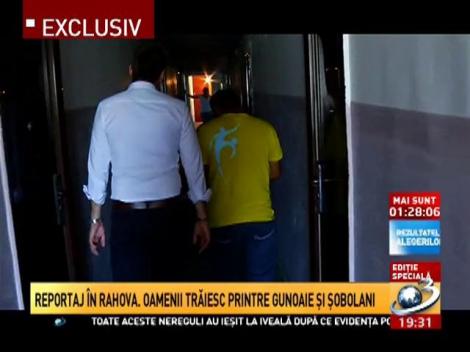 Imagini cutremurătoare &icirc;n Bucureşti: Gunoaie, şobolani şi boli