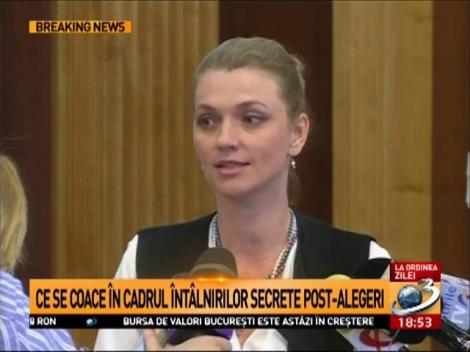 Gorghiu, despre &icirc;nt&acirc;lnirea de la Cotroceni