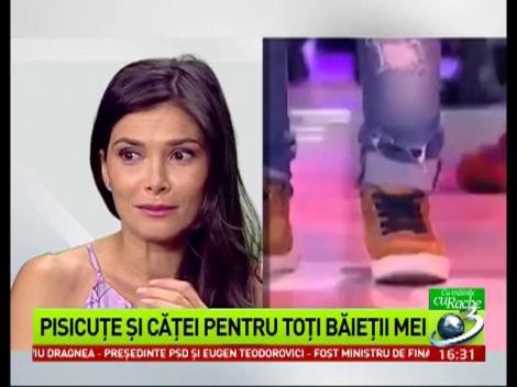 Cu M&acirc;inile cuRache: Pisicuțe și căței pentru toți băieții mei!