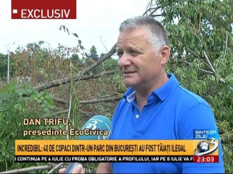 Dezastru ecologic &icirc;n București, chiar l&acirc;ngă Palatul Cotroceni