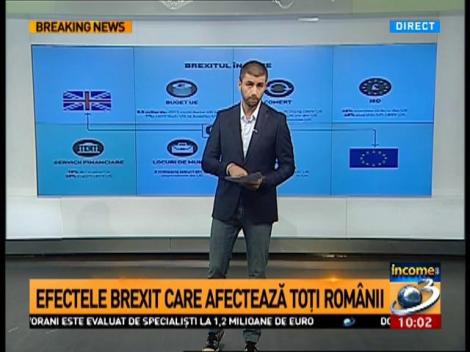 Vasile Pușcaș, fost negociator al României la UE, despre riscurile României după Brexit