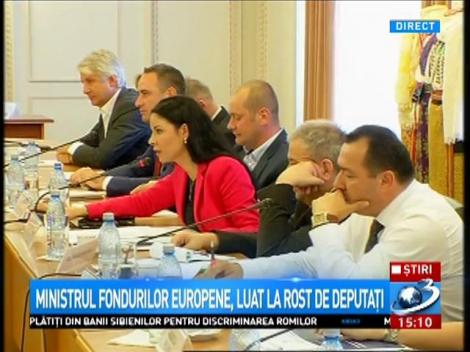 Scandal &icirc;n Parlament. Ministrul Fondurilor Europene, către Ana Birchall: Nu aveți nicio legătură cu aritmetica
