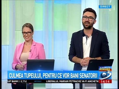 Culmea tupeului &icirc;n Senatul Rom&acirc;niei. Pentru ce au mai cerut demnitarii bani