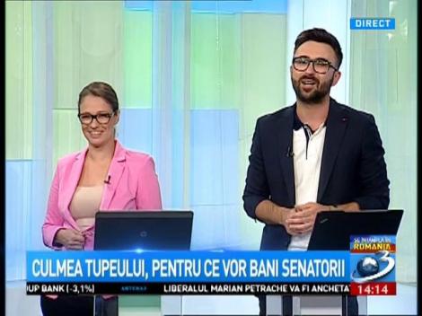 Culmea tupeului în Senatul României. Pentru ce au mai cerut demnitarii bani