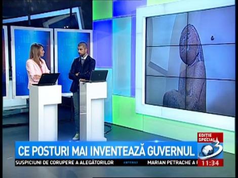 Credeați că le-ați văzut pe toate? Ce posturi mai inventează Guvernul: Secretar de stat pentru ”Cumințenia pământului”