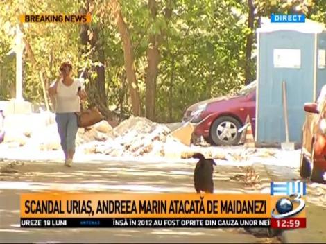 Scandal uriaș, după ce Andreea Marin a fost atacată de maidanezi