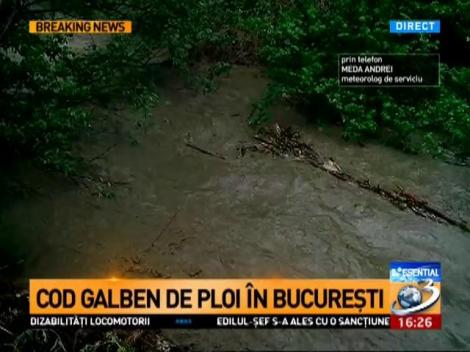 Cod galben de ploi în Bucureşti