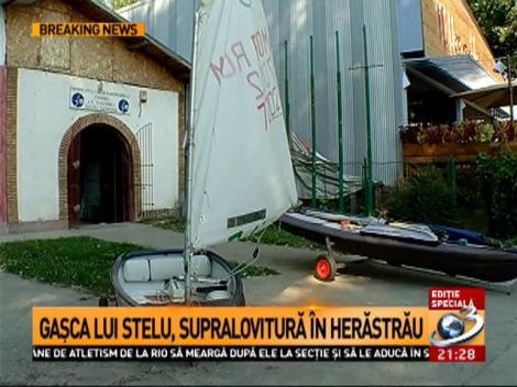 Pirații imobiliari au scufundat încă o flotă a României