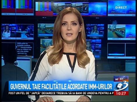 Guvernul taie facilitățile IMM-urilor