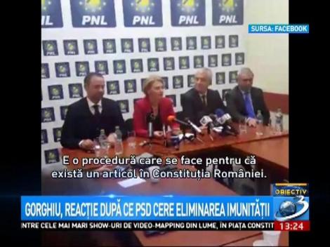 Alina Gorghiu, reacție după ce Dragnea a cerut eliminarea imunității