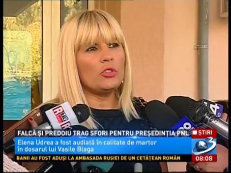 Falcă și Predoiu trag sfori pentru președinția PNL