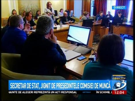 Replici incredibile &icirc;n ședința Comisiei de Muncă din Parlament: Ce &icirc;nseamnă asta? Sunteți bunica care ne ceartă?