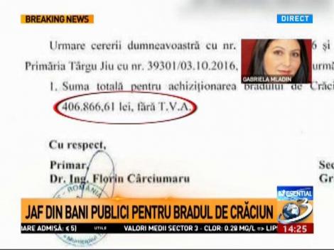 Jaf din bani publici pentru bradul de Crăciun. Primăria Târgu Jiu a plătit 100.000 pentru pom